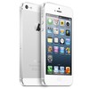 Apple iPhone 5 64Gb white - Великий Устюг